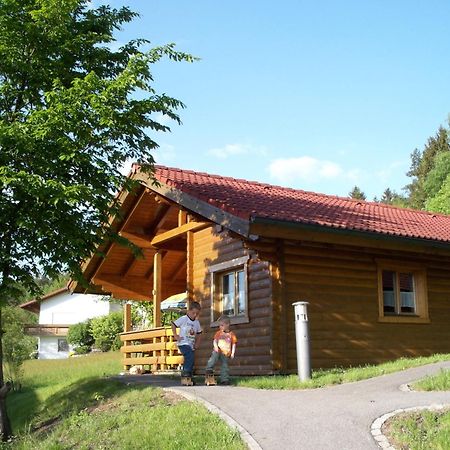 Вілла Blockhaus Hedwig Stamsried Екстер'єр фото