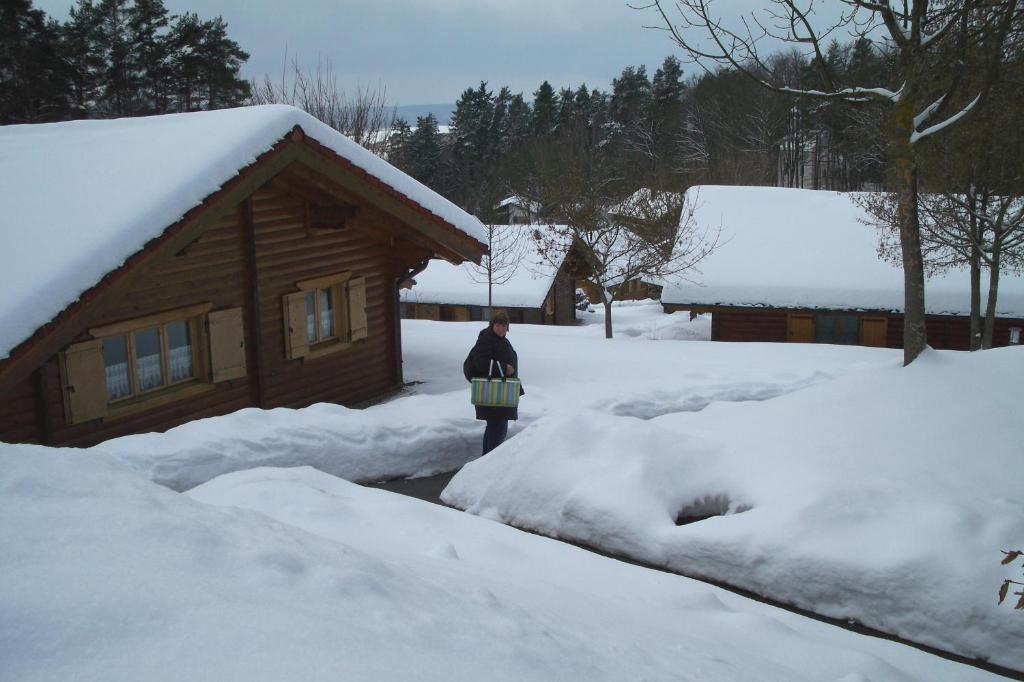 Вілла Blockhaus Hedwig Stamsried Екстер'єр фото