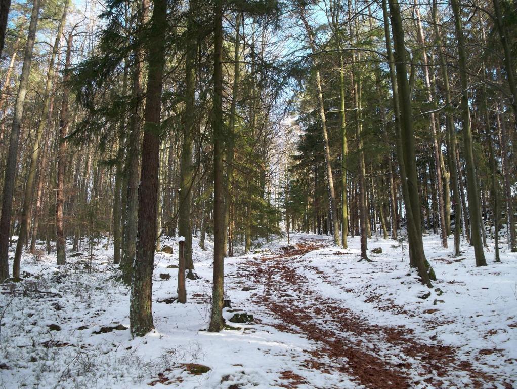 Вілла Blockhaus Hedwig Stamsried Екстер'єр фото