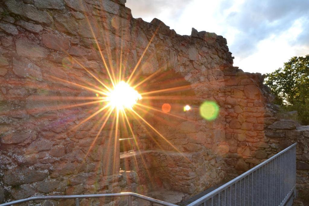 Вілла Blockhaus Hedwig Stamsried Екстер'єр фото