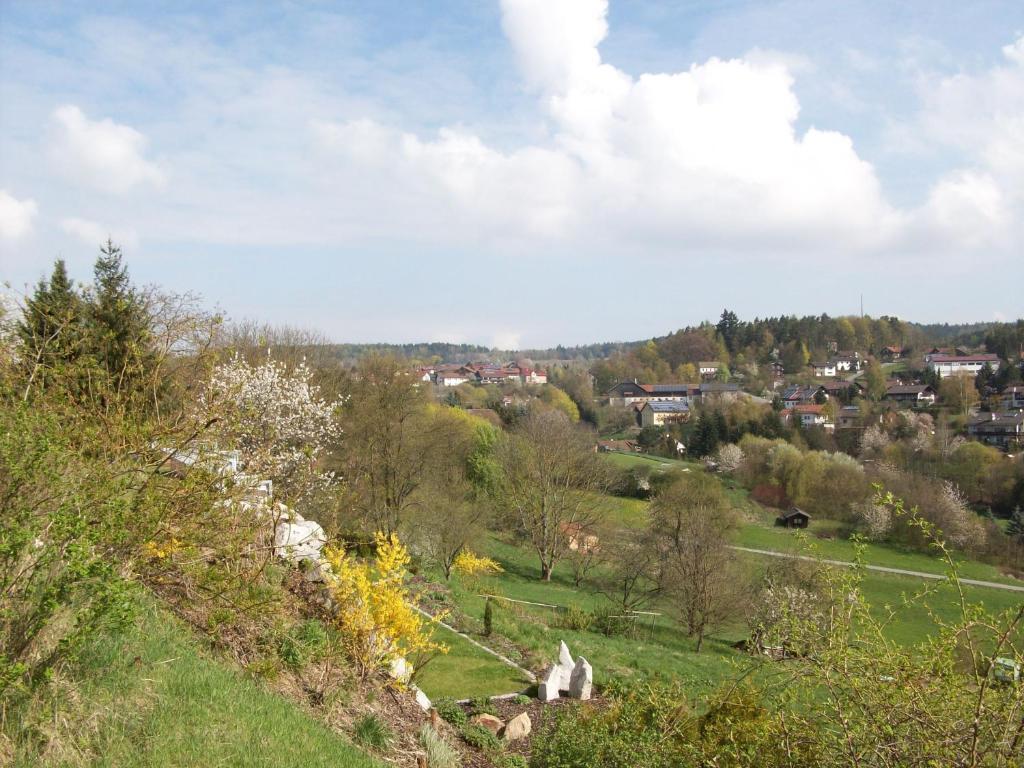 Вілла Blockhaus Hedwig Stamsried Екстер'єр фото